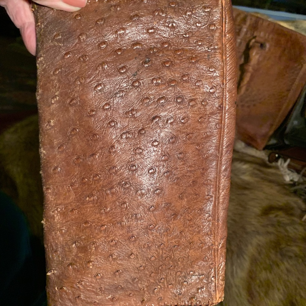 Vintage Ostrich clutch